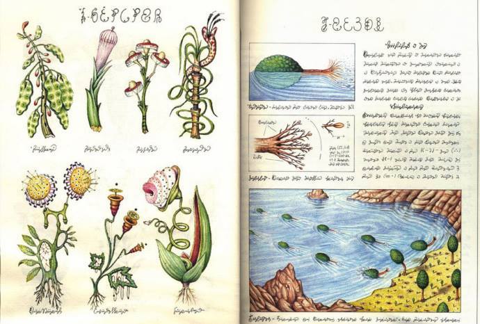 مخطوطة سيرافينى أغرب كتاب فى التاريخ