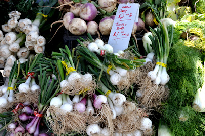 2009_05_11-garlic_onions4.jpg