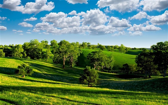 Green-valley-nature-scenery-blue-sky-white-clouds-trees-grasslands-sun_m.jpg