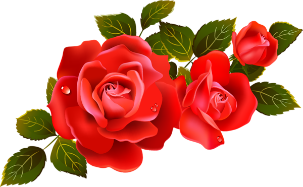 Large_Red_Roses_Clipart_Element.png