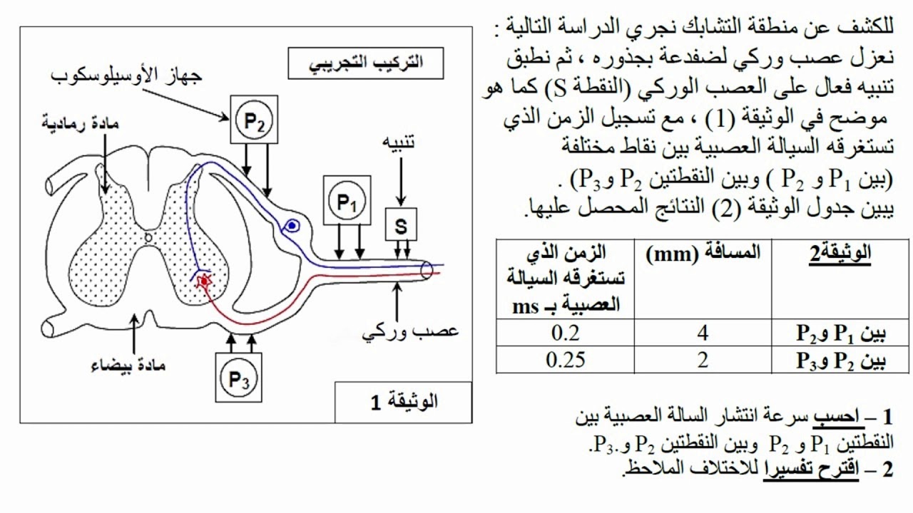 الاختبار الاول في العلوم الطبيعية للسنة الثانية ثانوي علوم تجريبية - YouTube