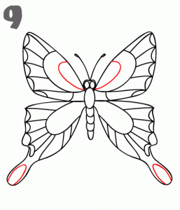 howtodrawabutterfly-257x300.gif