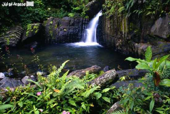 el-yunque-4-1.jpg