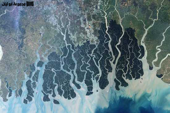 sundarbans.jpg