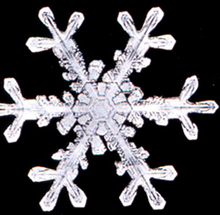 220px-Snowflake7.png