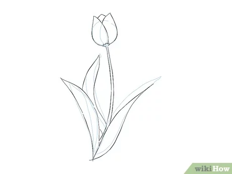 صورة عنوانها Draw a Flower Step 14