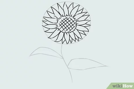 صورة عنوانها Draw a Flower Step 16
