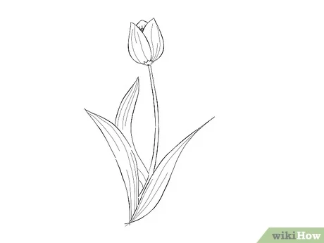 صورة عنوانها Draw a Flower Step 15