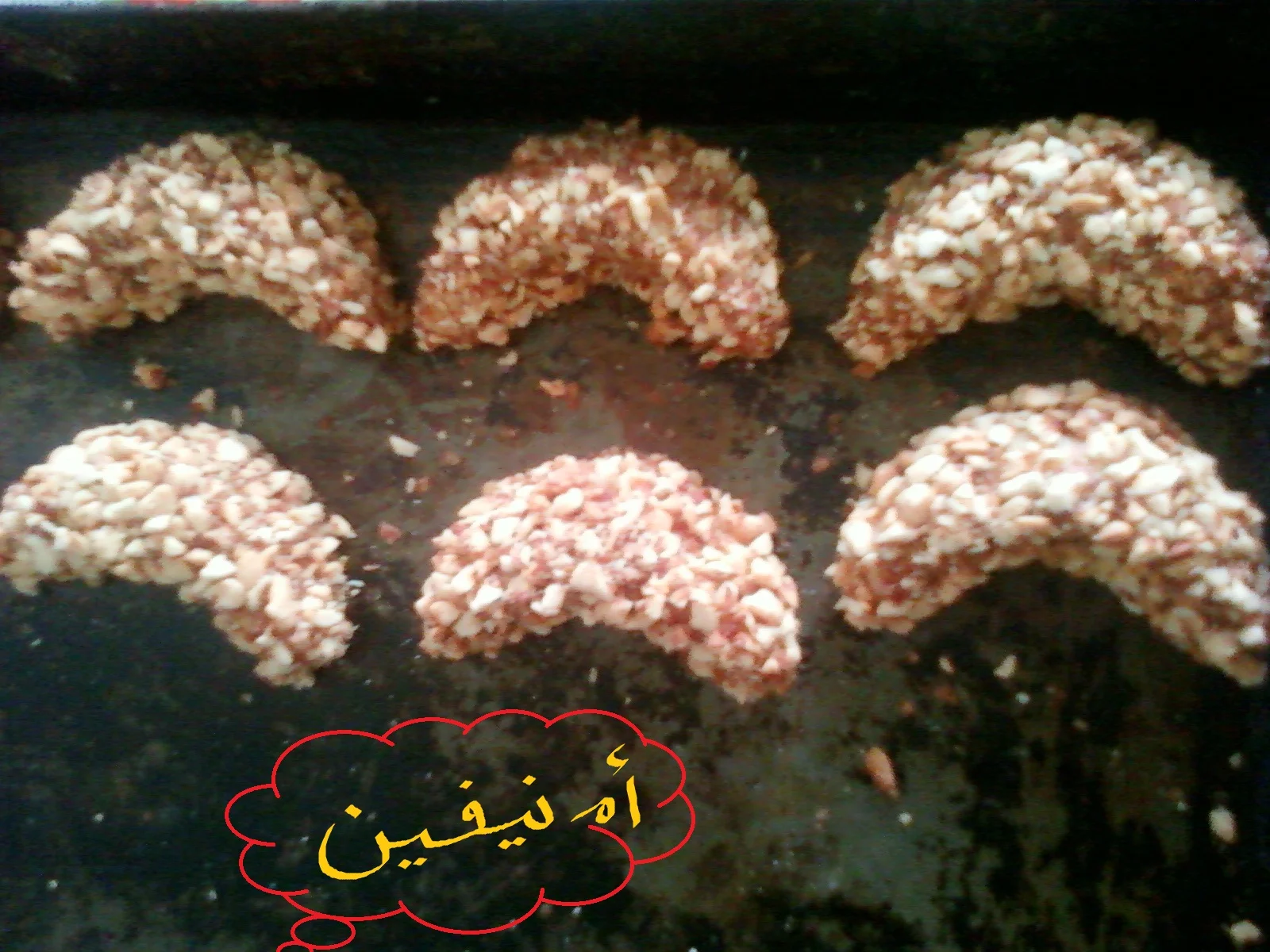 الجيريا