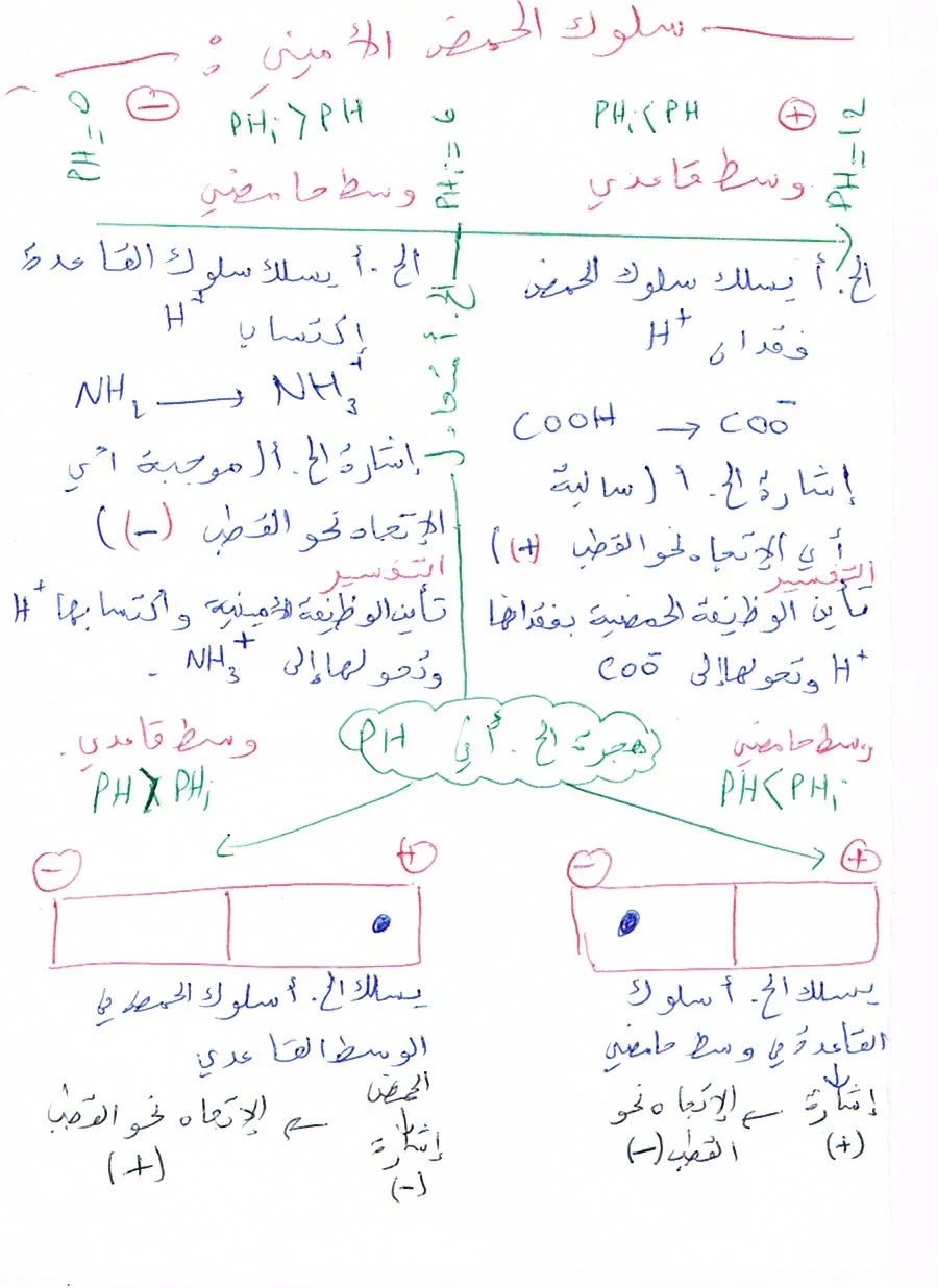 attachment.php