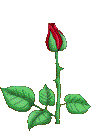 القعدة