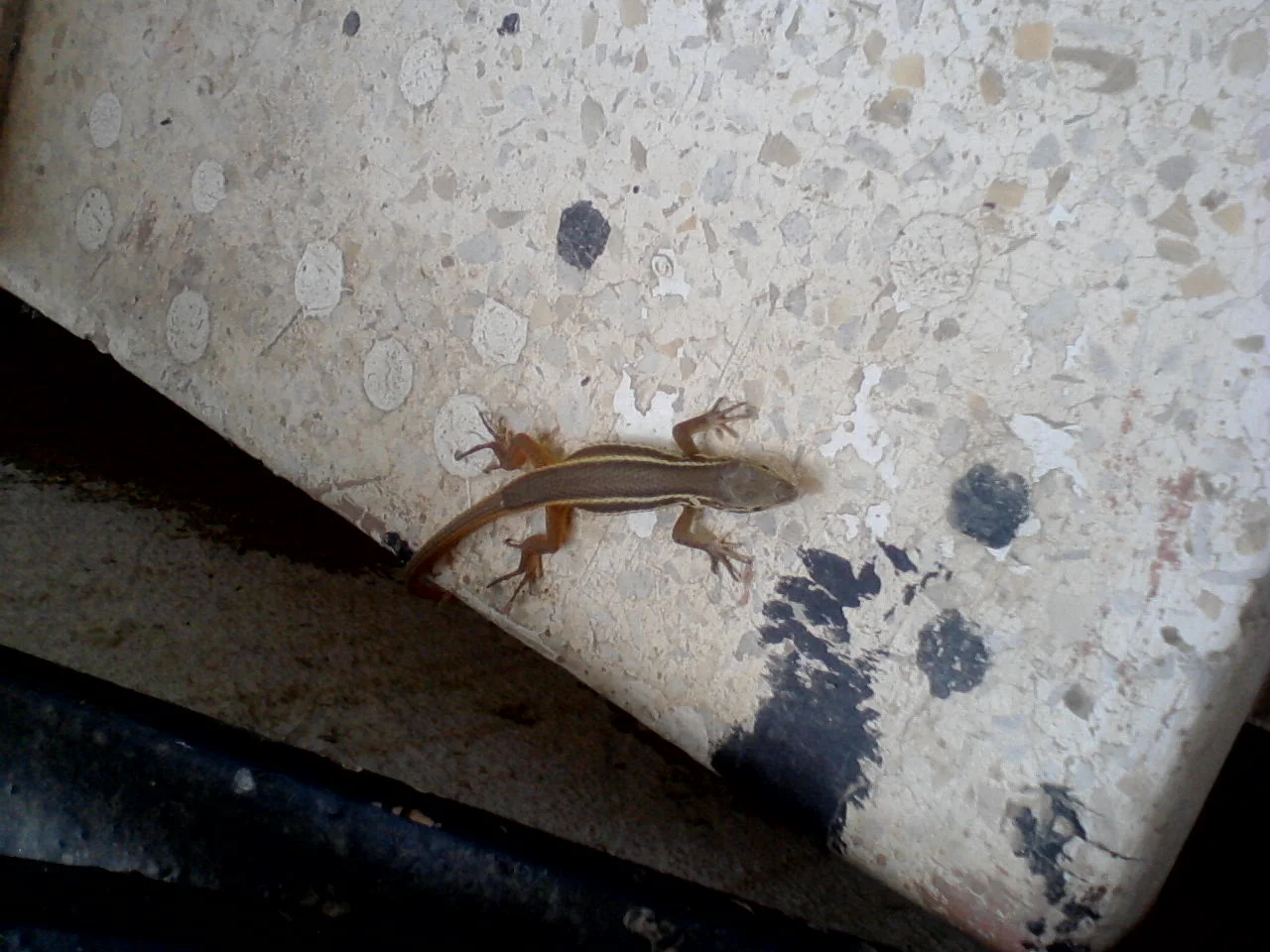 attachment.44514d1377374563