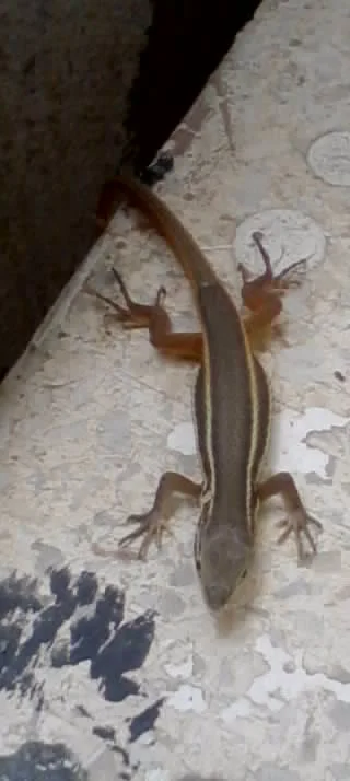 attachment.44515d1377374563