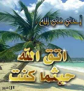 القعدة